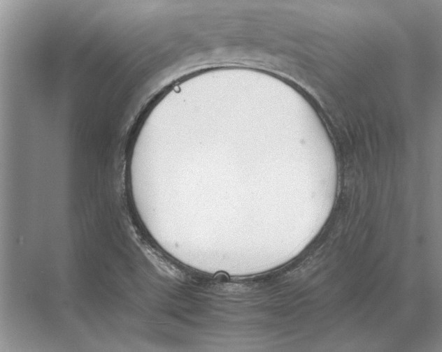 X0000072531507200608111733