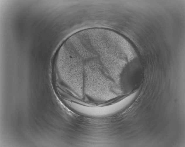 X0000072531508200608111733