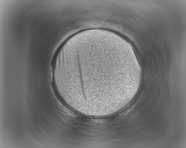 X0000072531509200608111733