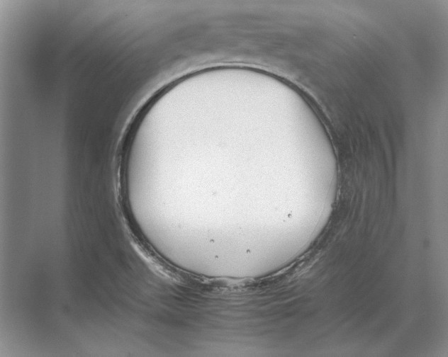 X0000072531511200608111733