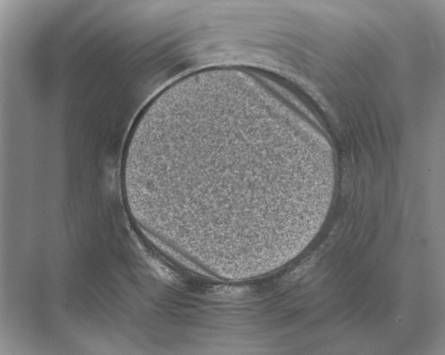 X0000072531513200608111733