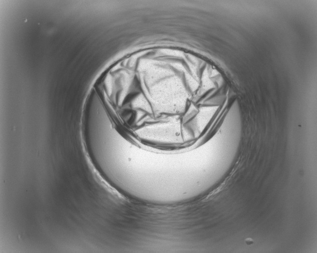 X0000072531518200608111733