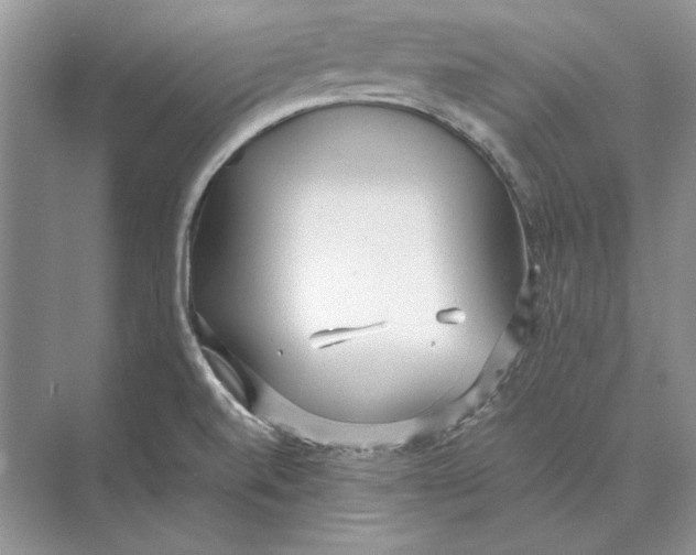 X0000072531520200608111733