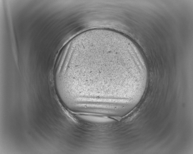 X0000072531521200608111733