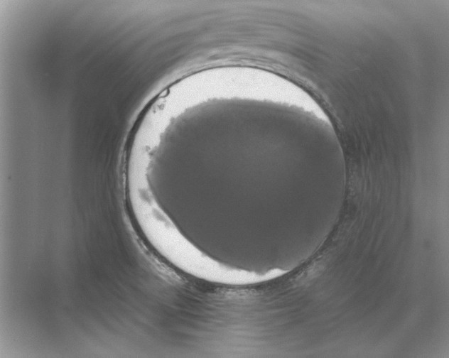 X0000072531522200608111733