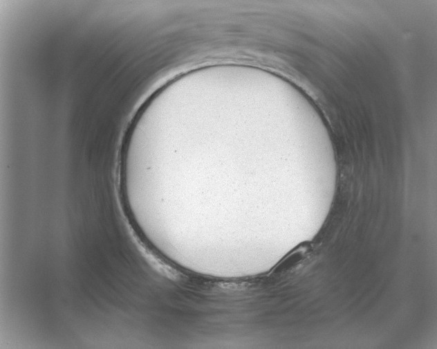 X0000072531523200608111733