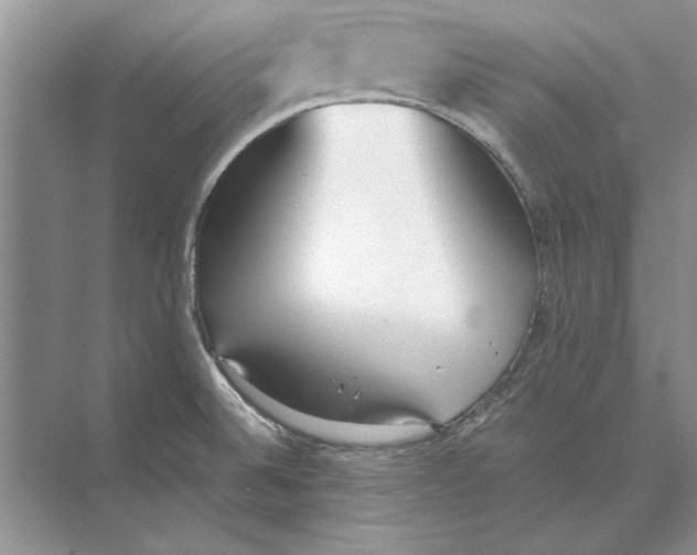 X0000072531524200608111733