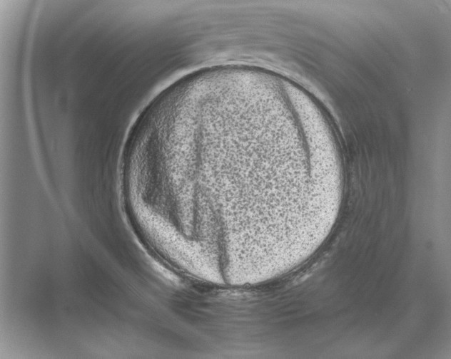 X0000072531525200608111733