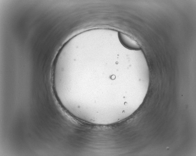 X0000072531526200608111733