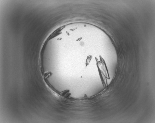 X0000072531527200608111733