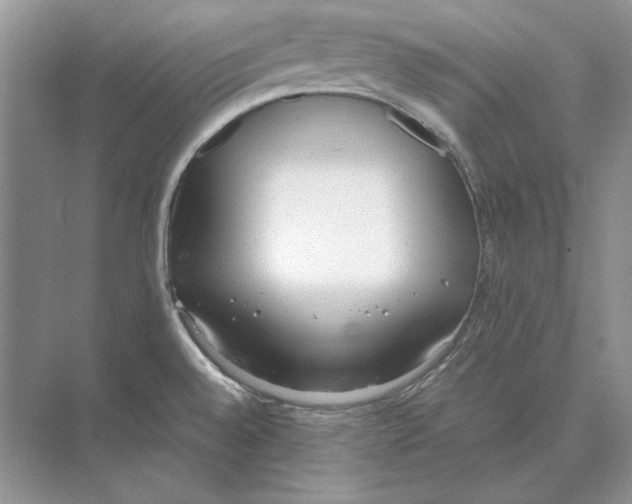 X0000072531528200608111733