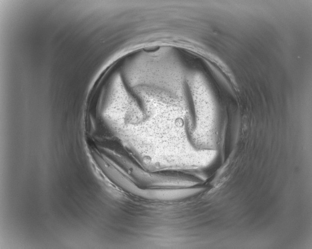 X0000072531530200608111733