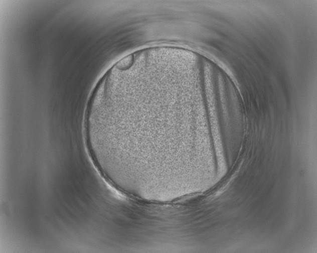 X0000072531533200608111733