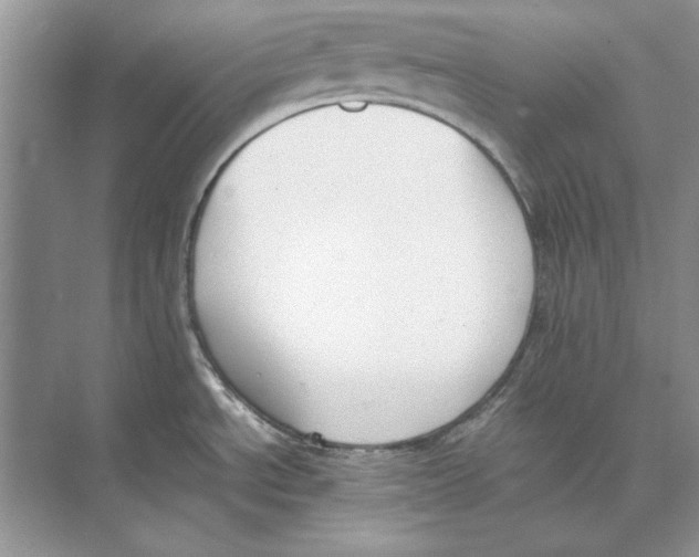 X0000072531534200608111733