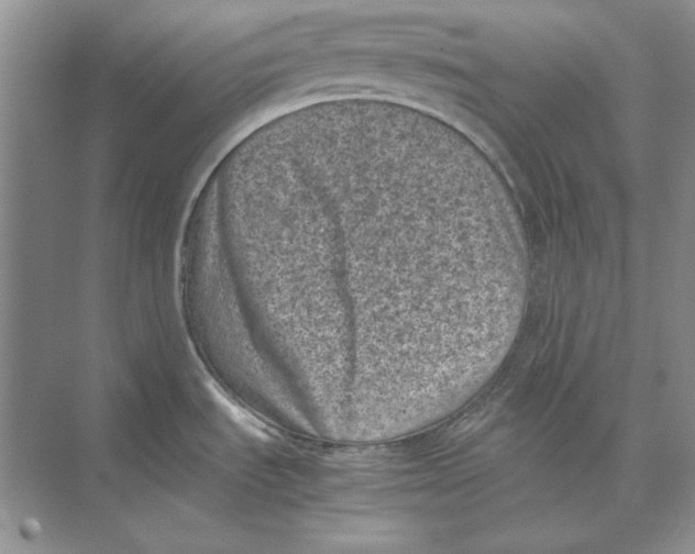 X0000072531535200608111733