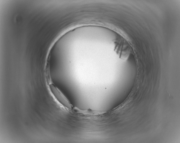 X0000072531536200608111733