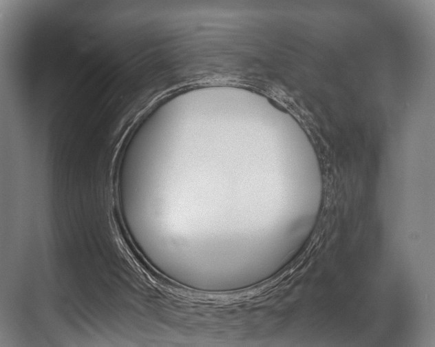 X0000072540002200607141048