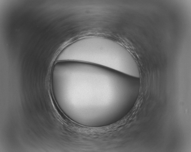 X0000072540003200607141048