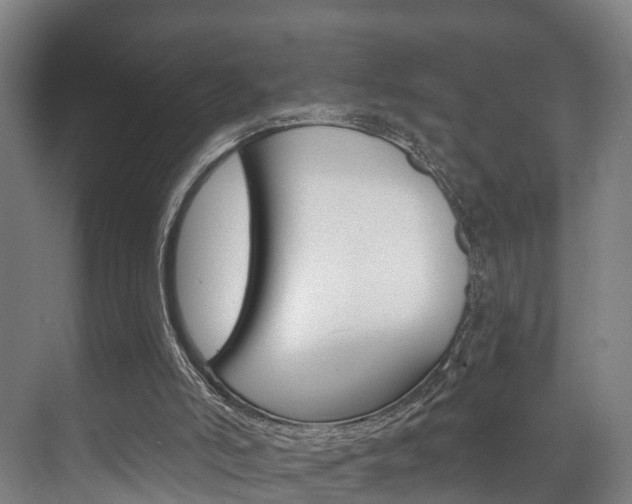 X0000072540006200607141048
