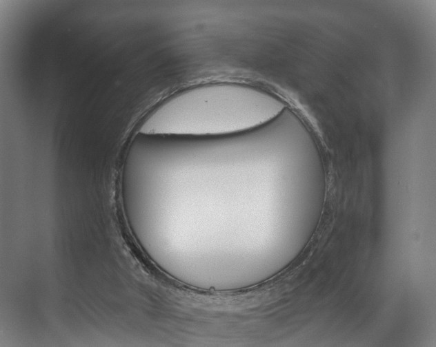 X0000072540010200607141048