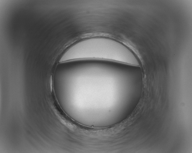 X0000072540013200607141048