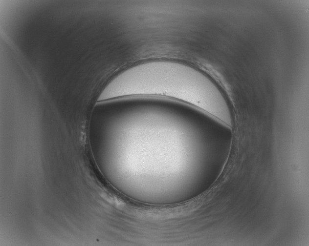 X0000072540017200607141048