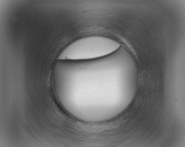 X0000072540018200607141048