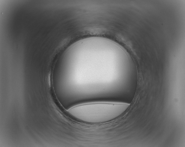 X0000072540019200607141048
