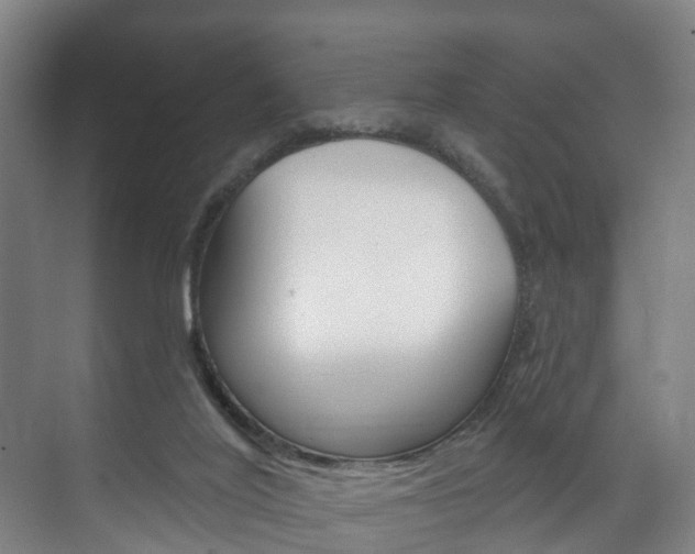 X0000072540020200607141048