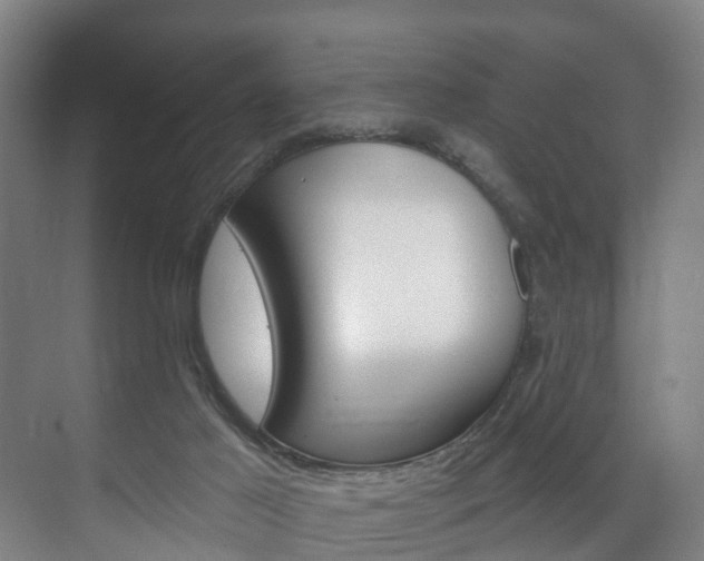 X0000072540021200607141048