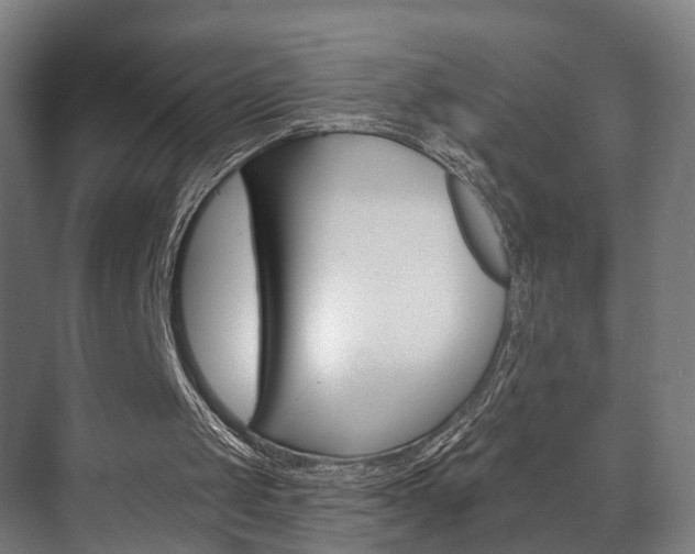 X0000072540049200607141046