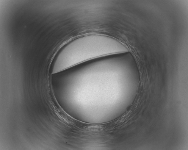 X0000072540050200607141046