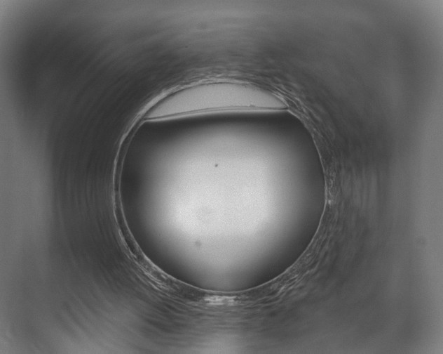 X0000072540052200607141046