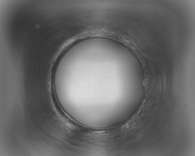 X0000072540054200607141046