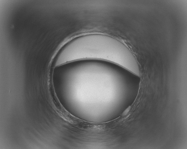 X0000072540056200607141047