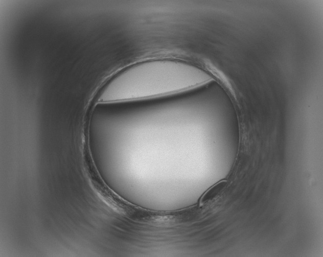 X0000072540059200607141047