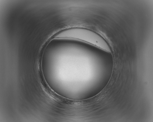 X0000072540060200607141047