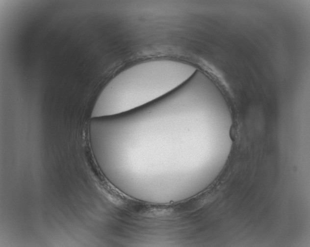 X0000072540065200607141047