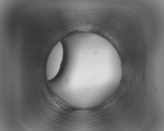 X0000072540069200607141047