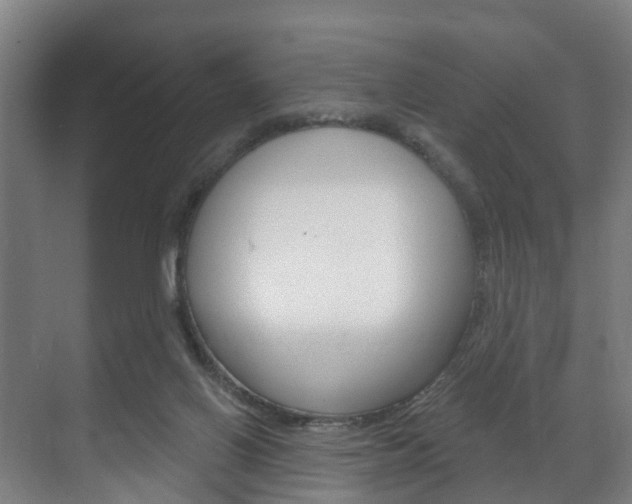 X0000072540070200607141047