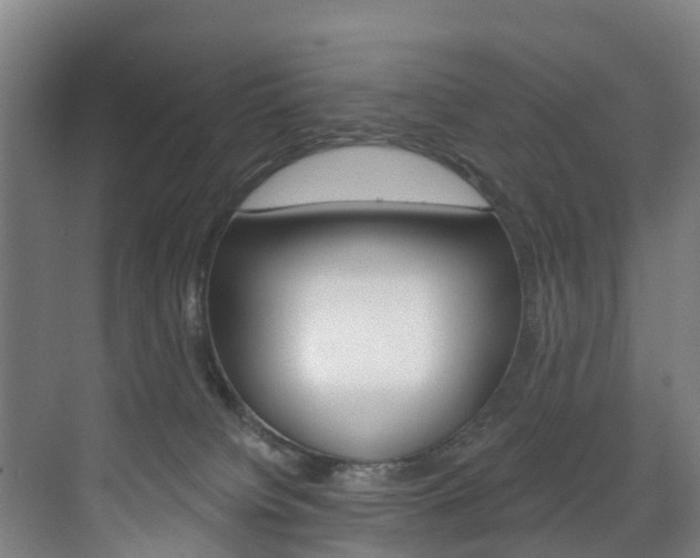 X0000072540084200607141047