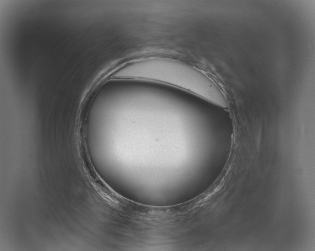 X0000072540101200607141046