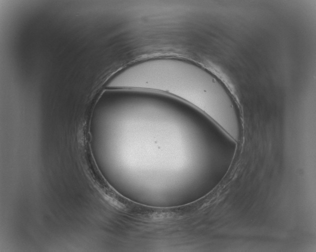 X0000072540105200607141046