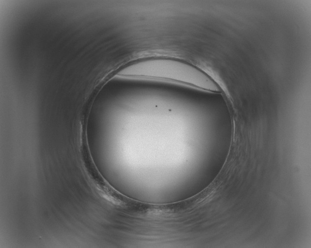 X0000072540109200607141046