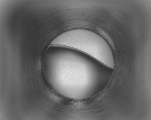 X0000072540113200607141046