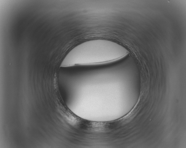 X0000072540144200607141046