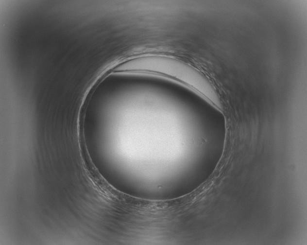 X0000072540148200607141045