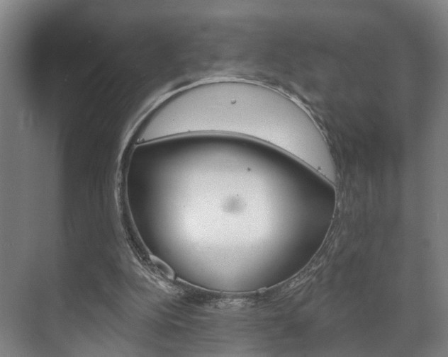 X0000072540152200607141045