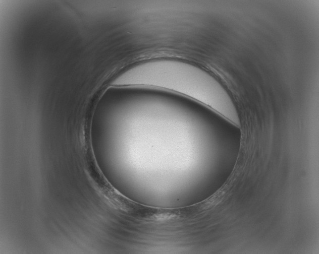 X0000072540158200607141045