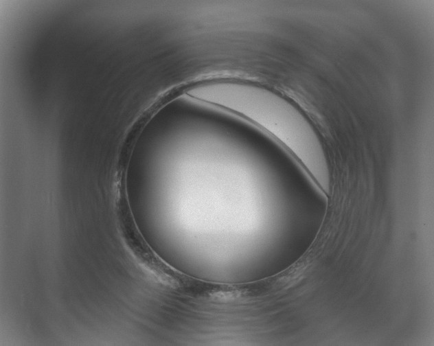 X0000072540160200607141045